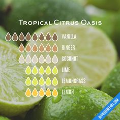 Tropical Citrus Oasis Tropical Scents Essential Oils, Tropical Essential Oil Blend, Coconut Essential Oil Blends, Citrus Essential Oil Blends, Scent Wheel, Mermaid Candle, Coconut Essential Oil