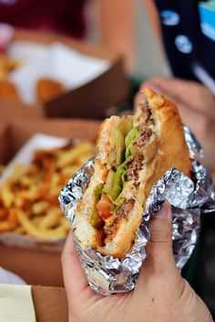 a person holding a sandwich in their hand with some french fries on the other side