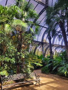 a bench sitting in the middle of a garden filled with palm trees and other plants