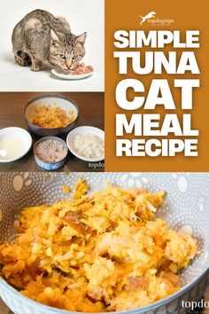 Simple Tuna Cat Meal Recipe