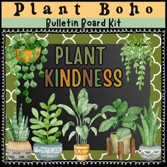 a plant kit with plants and potted plants