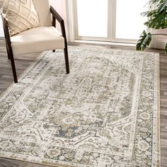 an area rug in a living room with a chair and potted plant on the floor