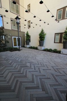 an empty courtyard with potted plants and lights