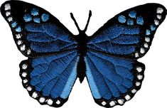 a blue butterfly with white dots on it's wings