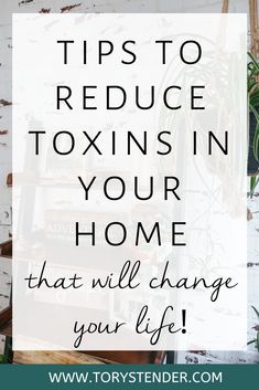 the words tips to reduce oxins in your home that will change your life