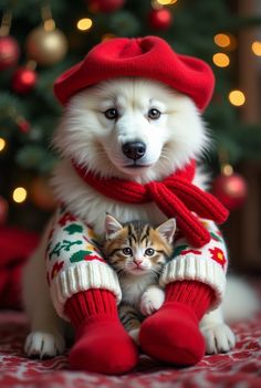 a dog and kitten wearing christmas sweaters in front of a christmas tree