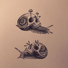 two drawings of snails with their heads in the air