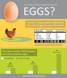 Egg Health Benefits, Egg Benefits, Types Of Eggs, Hobby Farming, Pasture Raised Eggs, Cage Free Eggs, Healthy Eggs, Health Guru, Coconut Health Benefits