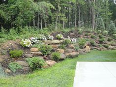 a hillside with flowers and trees in the background