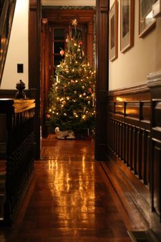 a christmas tree is lit up in the hallway