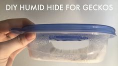 a hand holding a plastic container with ice in it and the words diy humid hide for geckos