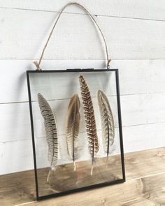 three feathers in a glass frame hanging on a wooden table next to a white wall