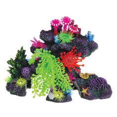 an assortment of colorful corals and seaweed on white background