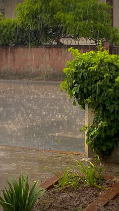 an umbrella that is sitting in the rain next to some plants and flowers on steps