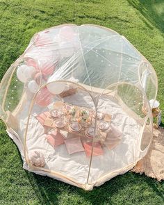 a clear umbrella sitting on top of a lush green field