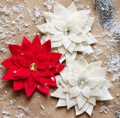 three red and white poinsettis sitting on top of a piece of paper