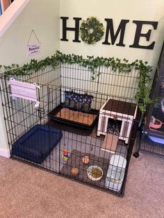 a caged in area with two cats and one dog on the floor next to stairs