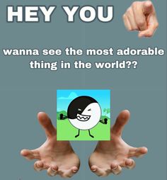 two hands holding up an image of a cartoon character with the caption, hey you wanna see the most adorable thing in the world?