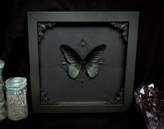 there is a frame with a butterfly in it and some jars on the table next to it