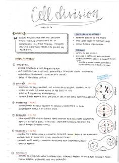 a paper with instructions for cell division written in cursive writing on the front