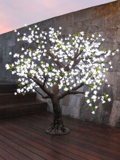 a tree with white flowers on it in front of a stone wall and wooden floor