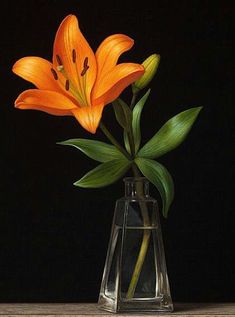 an orange flower in a glass vase on a wooden table next to a black background