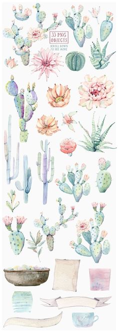 watercolor cactus and succulents on white paper