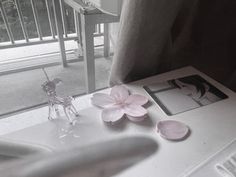 a white sink sitting next to a window with flowers on top of it in front of a mirror