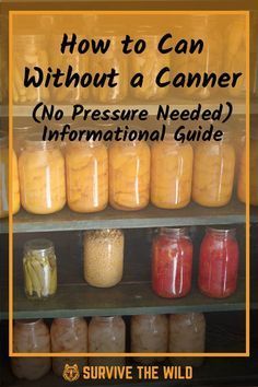 jars filled with food sitting on top of shelves next to the words how to can without a camera