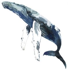 a watercolor painting of a humpback whale