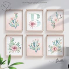 six framed pictures with cactus and flowers on them