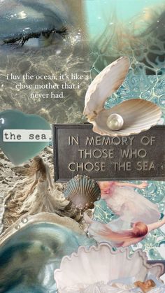 a collage of sea shells, seashells and a sign that says in memory of those who chose the sea