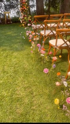 rows of wooden chairs lined up in the grass with flowers growing on each chair arm