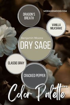 the words dry sage and color palettes are arranged in different shapes, sizes and colors