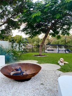 Fire pit ideas, backyard design, backyard renovation Queensland Backyard Landscaping, Outdoor Fire Pit Area Australia, Australia Backyard Landscaping, Fire Pit Ideas Backyard Australia, Queensland Landscaping Ideas, Backyard Australia, Queensland Garden, Aussie Backyard, Landscaping Australia