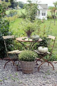 an outdoor table and chairs with pumpkins in the basket on it, surrounded by greenery