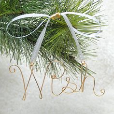 a christmas ornament hanging from a pine tree with the word w & n on it