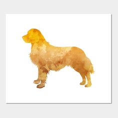 a watercolor painting of a golden retriever dog