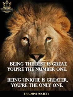 a lion with the quote being the best is great you're the number one