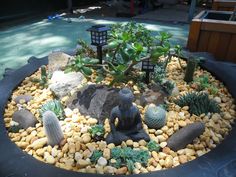 a small garden with rocks and succulents