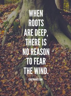 a tree with leaves on the ground and a quote about roots that reads, when roots are deep, there is no reason to fear to fear