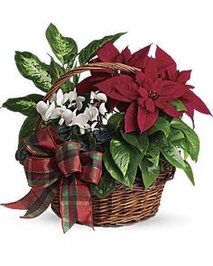 a basket filled with flowers and greenery on top of a white background, next to a red bow