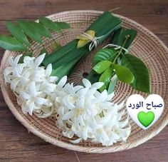 some white flowers and green leaves on a wooden table with the words i love you written in arabic