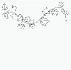 a black and white drawing of leaves on a vine