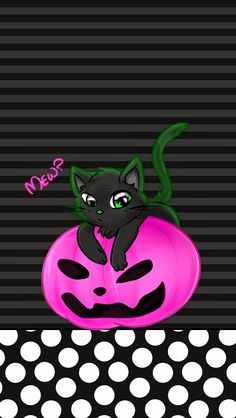 a black cat sitting on top of a pink pumpkin