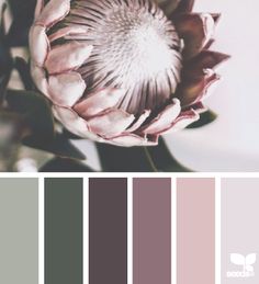 an image of a flower that is in the color pink and grey with some other colors