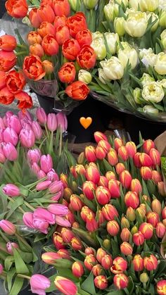 many different colored tulips and other flowers for sale