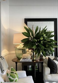 a living room filled with furniture and a potted plant on top of a table