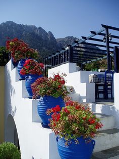 several blue and white planters with red flowers in them on the side of a building