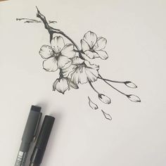 a drawing of a branch with flowers on it next to two markers and a pen